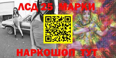спиды Кингисепп
