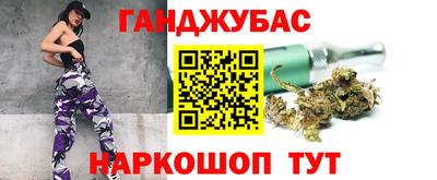 спиды Кингисепп
