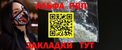 спиды Кингисепп