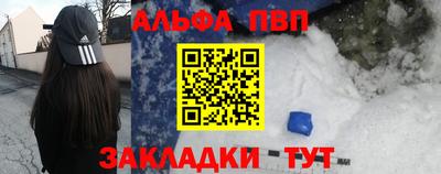 спиды Кингисепп