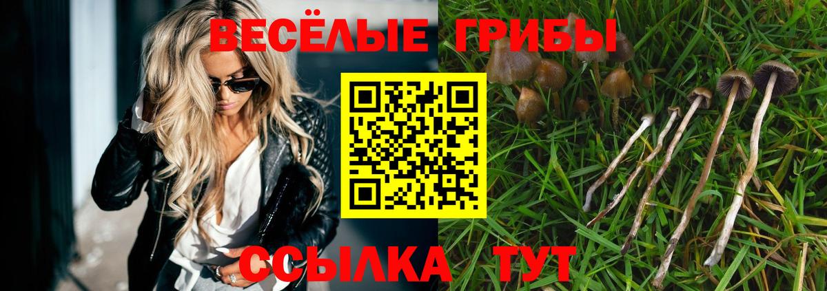 Галлюциногенные грибы GOLDEN TEACHER Кузнецк