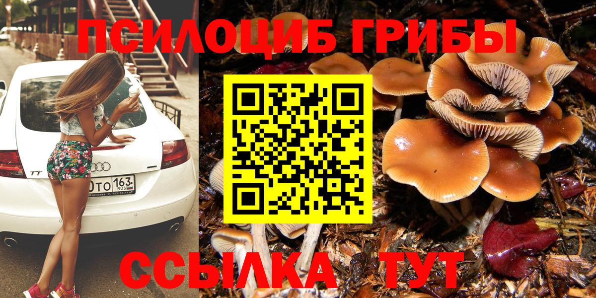 Галлюциногенные грибы GOLDEN TEACHER  Вход с VPN  Кузнецк 